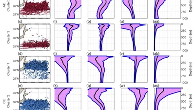 On the Vertical Structure of Mesoscale Eddies in the Kuroshio-Oyashio Extension featured image